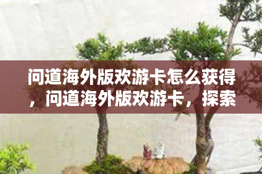 问道海外版欢游卡怎么获得，问道海外版欢游卡，探索海外游戏的便捷通道