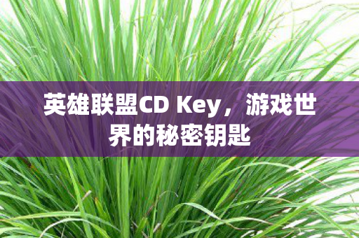 英雄联盟CD Key，游戏世界的秘密钥匙