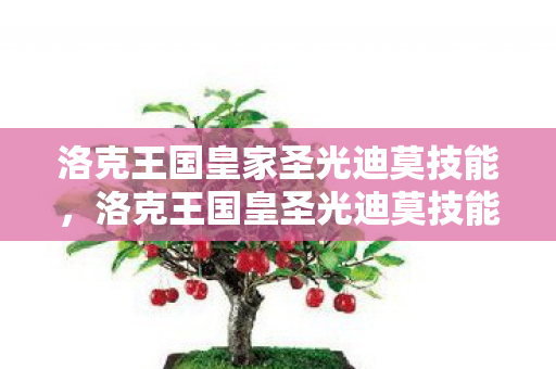 洛克王国皇家圣光迪莫技能，洛克王国皇圣光迪莫技能表深度解析
