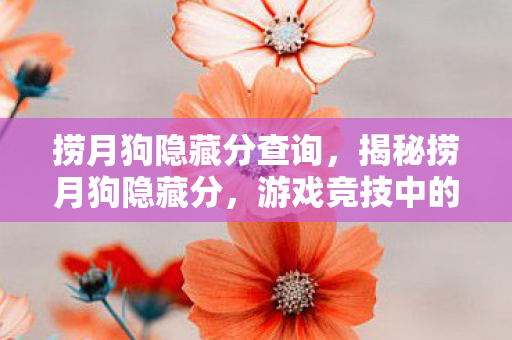 捞月狗隐藏分查询，揭秘捞月狗隐藏分，游戏竞技中的隐形标尺