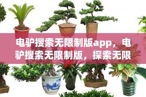 电驴搜索无限制版app，电驴搜索无限制版，探索无限可能的资源宝藏