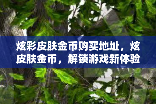 炫彩皮肤金币购买地址，炫皮肤金币，解锁游戏新体验，但需谨慎使用