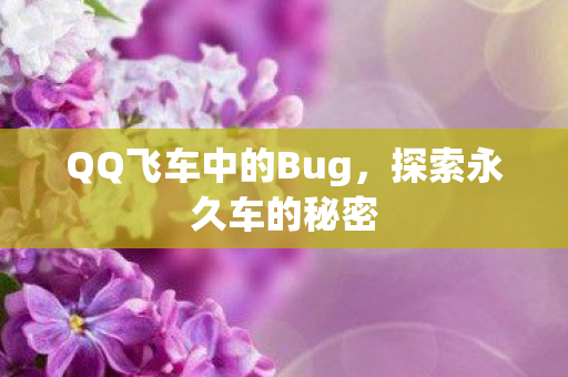 QQ飞车中的Bug，探索永久车的秘密