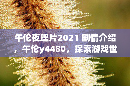 午伦夜理片2021 剧情介绍，午伦y4480，探索游戏世界的无限可能