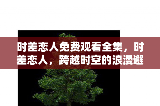 时差恋人免费观看全集，时差恋人，跨越时空的浪漫邂逅