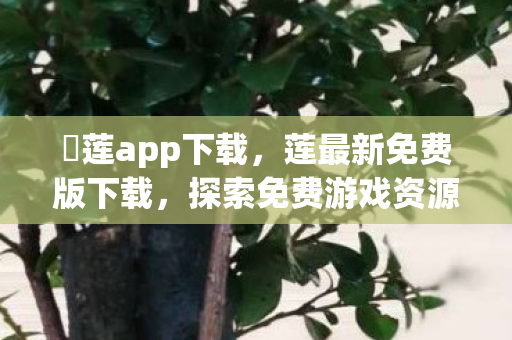 蓅莲app下载，莲最新免费版下载，探索免费游戏资源的无限可能