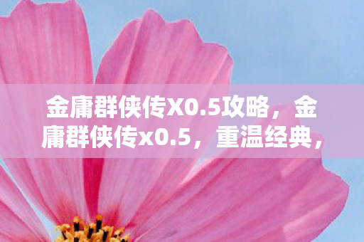金庸群侠传X0.5攻略，金庸群侠传x0.5，重温经典，再续江湖情缘