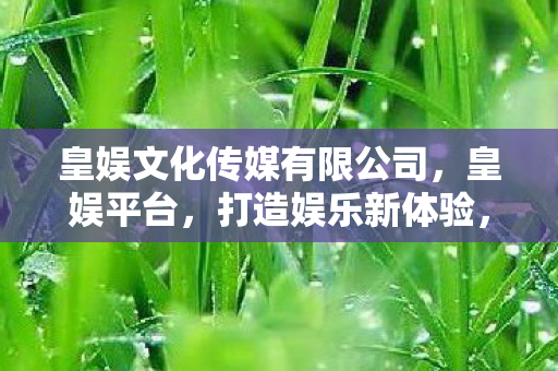 皇娱文化传媒有限公司，皇娱平台，打造娱乐新体验，引领数字娱乐新风尚