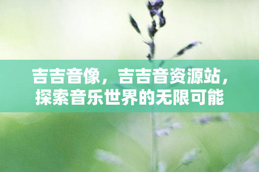 吉吉音像，吉吉音资源站，探索音乐世界的无限可能