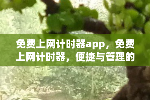 免费上网计时器app，免费上网计时器，便捷与管理的双赢选择