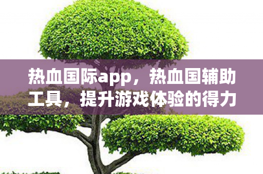 热血国际app，热血国辅助工具，提升游戏体验的得力助手