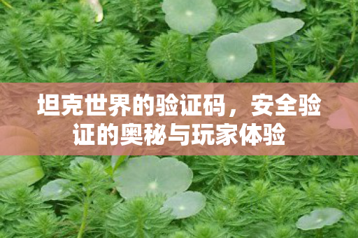 坦克世界的验证码，安全验证的奥秘与玩家体验