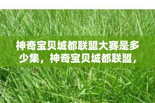 神奇宝贝城都联盟大赛是多少集，神奇宝贝城都联盟，探索宝可梦世界的无限可能