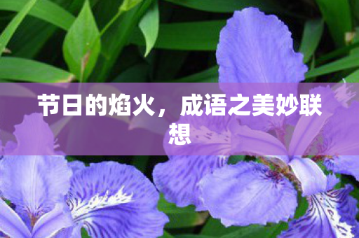 节日的焰火，成语之美妙联想