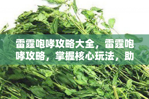 雷霆咆哮攻略大全，雷霆咆哮攻略，掌握核心玩法，助你称霸战场