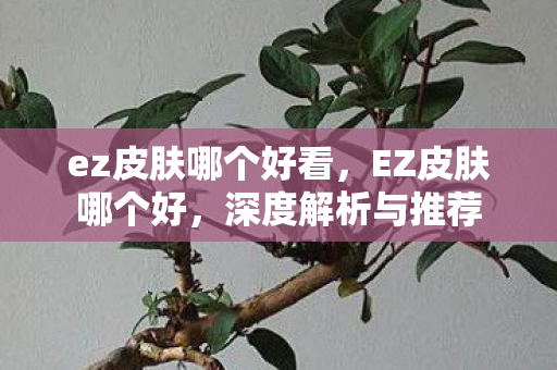 ez皮肤哪个好看，EZ皮肤哪个好，深度解析与推荐