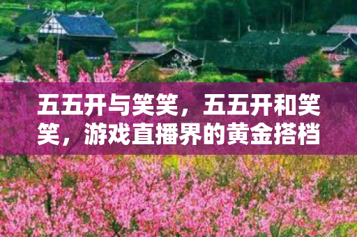 五五开与笑笑，五五开和笑笑，游戏直播界的黄金搭档