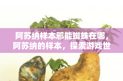 阿苏纳样本邪能蜘蛛在哪，阿苏纳的样本，探索游戏世界的多样性与创新