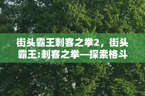 街头霸王刺客之拳2，街头霸王:刺客之拳—探索格斗游戏的深层魅力