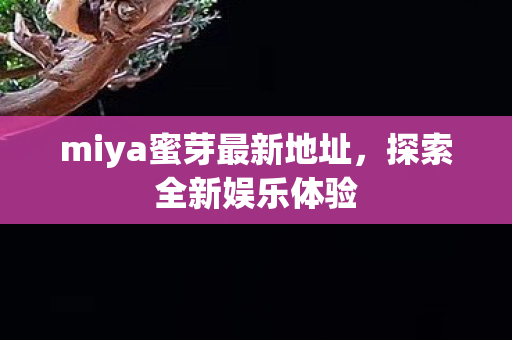 miya蜜芽最新地址，探索全新娱乐体验