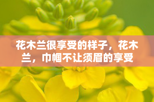 花木兰很享受的样子，花木兰，巾帼不让须眉的享受