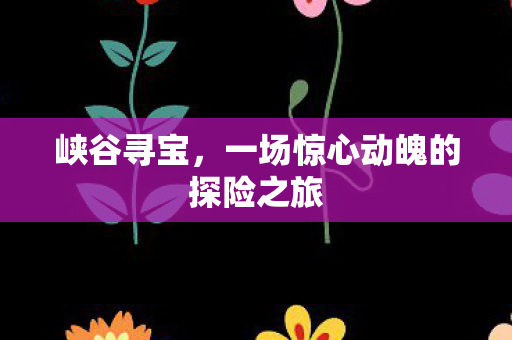 峡谷寻宝，一场惊心动魄的探险之旅