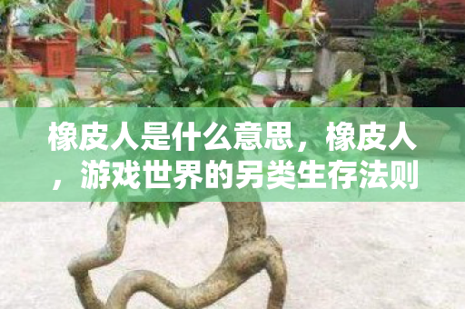 橡皮人是什么意思，橡皮人，游戏世界的另类生存法则