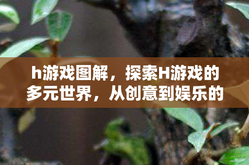 h游戏图解，探索H游戏的多元世界，从创意到娱乐的无限可能