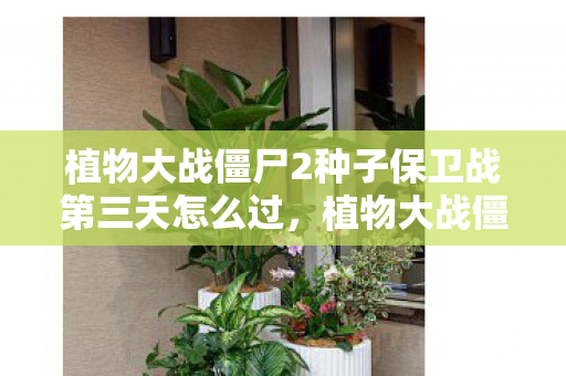 植物大战僵尸2种子保卫战第三天怎么过，植物大战僵尸2种子保卫战，策略与智慧的碰撞