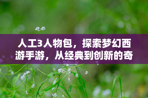 人工3人物包，探索梦幻西游手游，从经典到创新的奇妙旅程