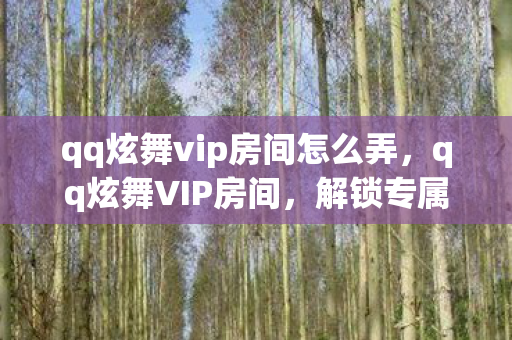 qq炫舞vip房间怎么弄，qq炫舞VIP房间，解锁专属特权，尽享游戏乐趣