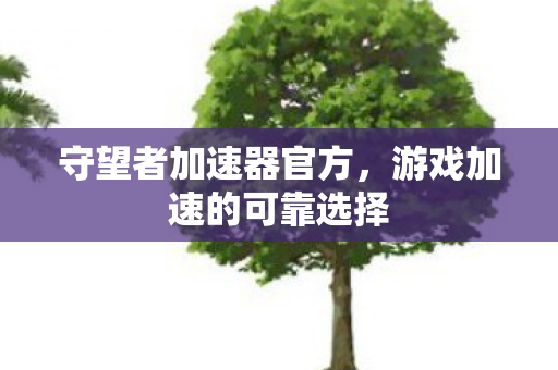 守望者加速器官方，游戏加速的可靠选择