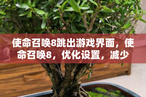 使命召唤8跳出游戏界面，使命召唤8，优化设置，减少游戏跳出