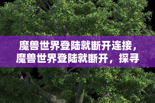 魔兽世界登陆就断开连接，魔兽世界登陆就断开，探寻背后的原因与解决方案