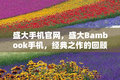 盛大手机官网，盛大Bambook手机，经典之作的回顾与未来展望