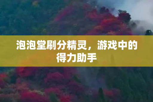 泡泡堂刷分精灵,游戏中的得力助手 泡泡堂刷分精灵,游戏中的得力助手