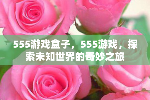 555游戏盒子，555游戏，探索未知世界的奇妙之旅