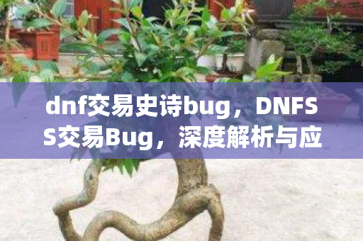 dnf交易史诗bug，DNFSS交易Bug，深度解析与应对建议