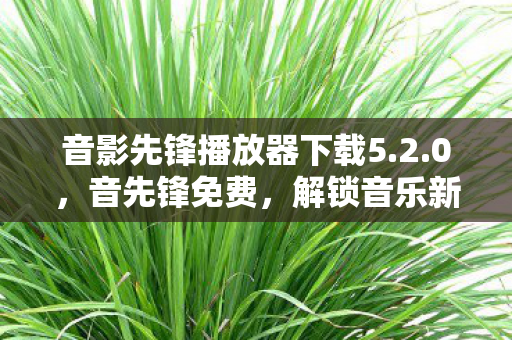 音影先锋播放器下载5.2.0，音先锋免费，解锁音乐新体验，畅享无限可能
