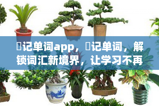 囧记单词app，囧记单词，解锁词汇新境界，让学习不再枯燥