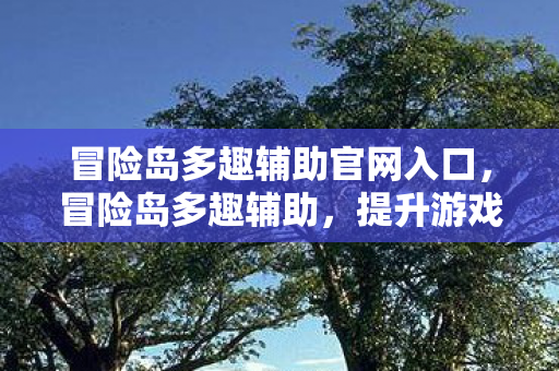 冒险岛多趣辅助官网入口，冒险岛多趣辅助，提升游戏体验的得力助手