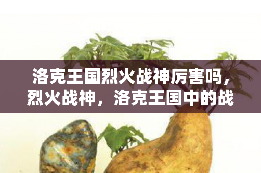 洛克王国烈火战神厉害吗，烈火战神，洛克王国中的战斗艺术