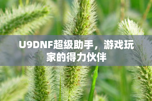 U9DNF超级助手,游戏玩家的得力伙伴 U9DNF超级助手,游戏玩家的得力伙伴