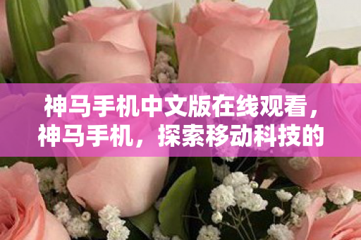 神马手机中文版在线观看，神马手机，探索移动科技的无限可能