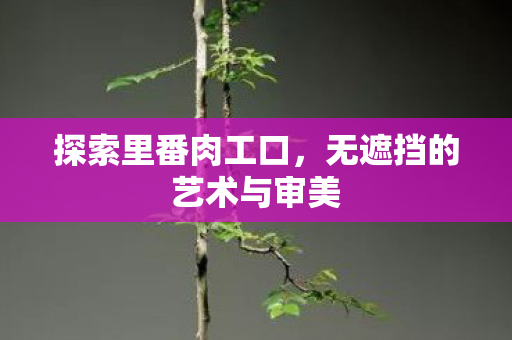 探索里番肉工口，无遮挡的艺术与审美