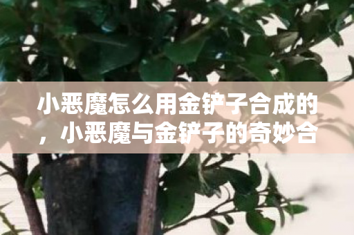 小恶魔怎么用金铲子合成的，小恶魔与金铲子的奇妙合成之旅
