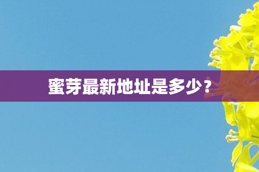 蜜芽最新地址是多少？