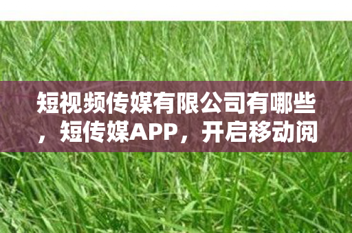 短视频传媒有限公司有哪些，短传媒APP，开启移动阅读新体验