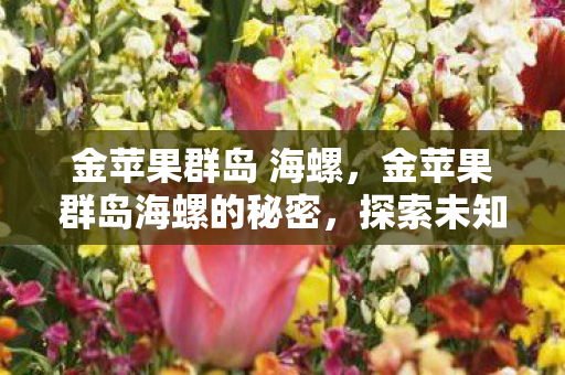 金苹果群岛 海螺，金苹果群岛海螺的秘密，探索未知的奇幻之旅