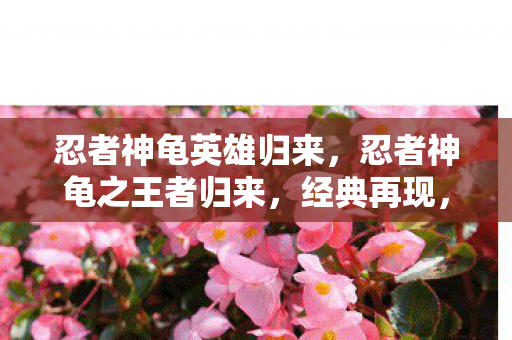 忍者神龟英雄归来，忍者神龟之王者归来，经典再现，英雄再起